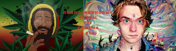 mix Горняк